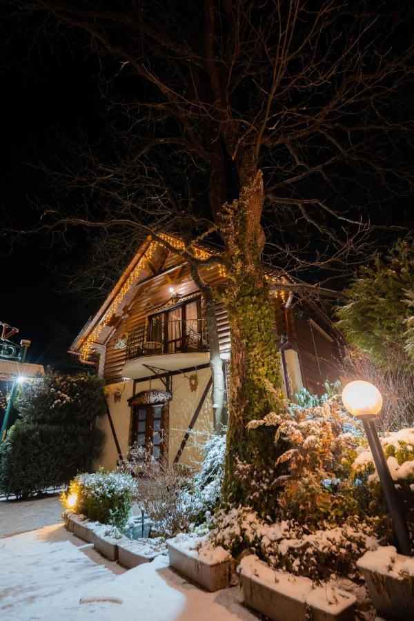Villa Garden Hotel Solochyn Esterno foto